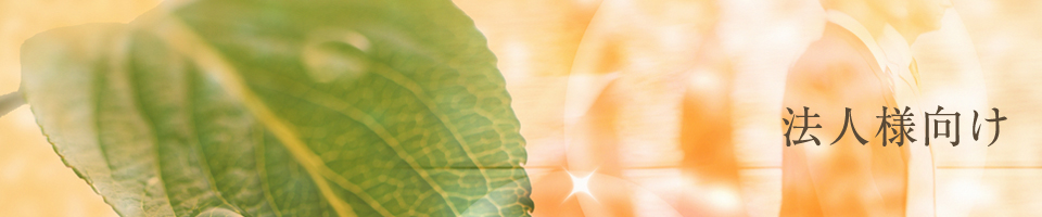 法人様向け